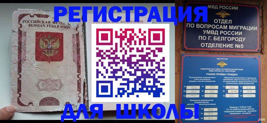 прописка штамп в Елизово
